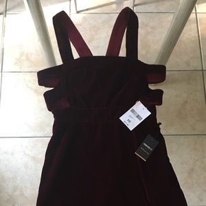 🍷Forever 21 Velvety Dress🍷